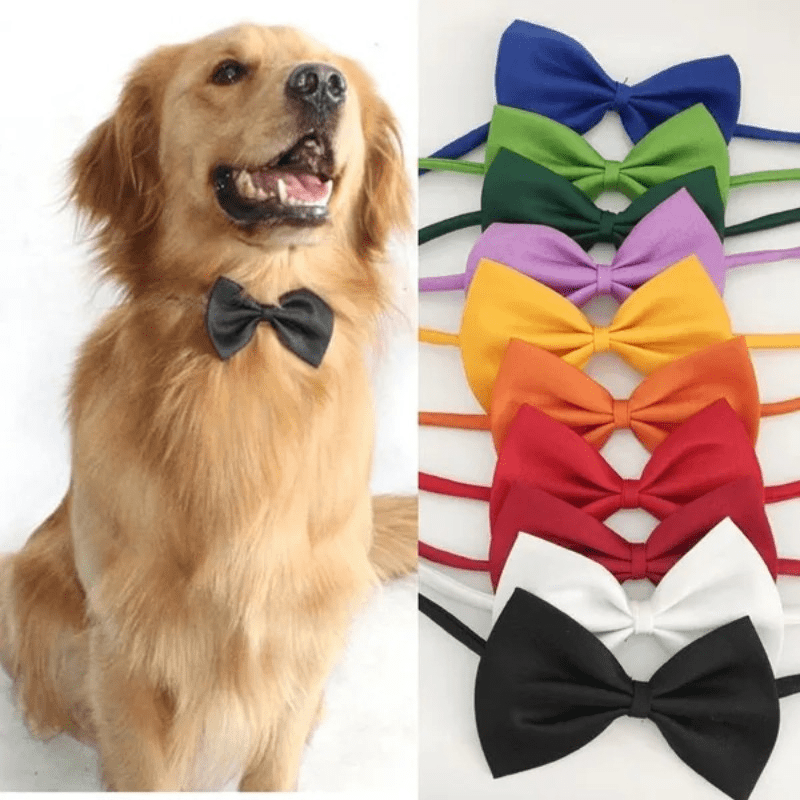 Haven Dog and Cat Bow Tie Collar Adjustable