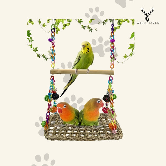 Haven Parrot Acrylic Swing Stand, Double-Layer Climbing Net and Hammock Cage Toy for Parrots