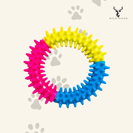 Haven Rubber Dental Chew Ring, Textured TPR Teeth Cleaning Toy for Dogs