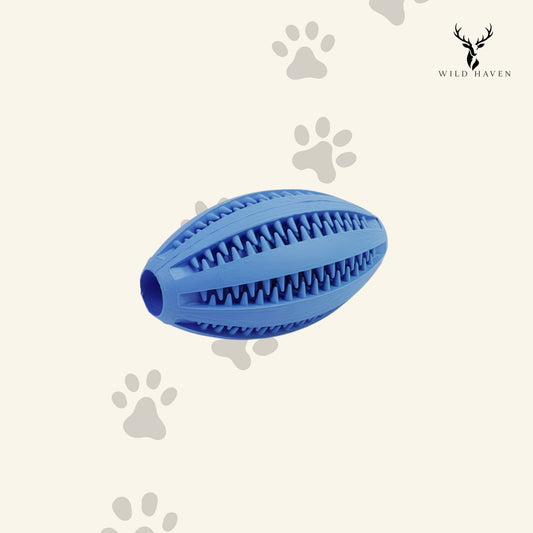 Haven Spiky Fetch Ball, Rubber Dental Chew and Treat Dispenser Toy for Dogs