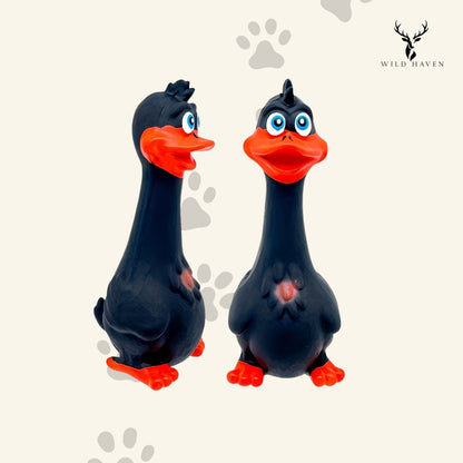 Haven Latex Squeaky Dog Toy, Chicken and Duck Chew Toy for Small Breeds and Puppies