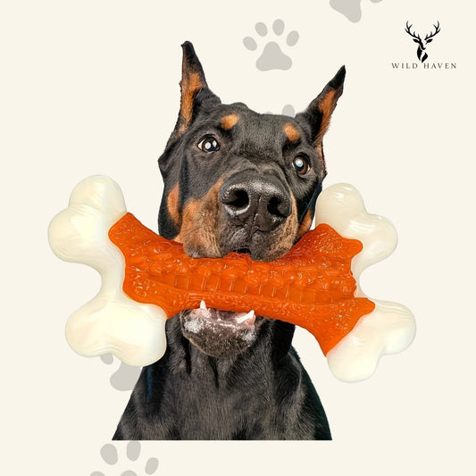 Haven Nylon Chew Bone, Indestructible Chicken Flavour Dental Chew for Large Dogs and Aggressive Chewers