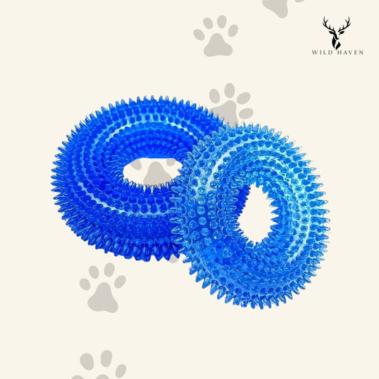 Haven Squeaky Donut Dog Toy, Durable Rubber Chew and Bounce Toy for Teething and Active Dogs