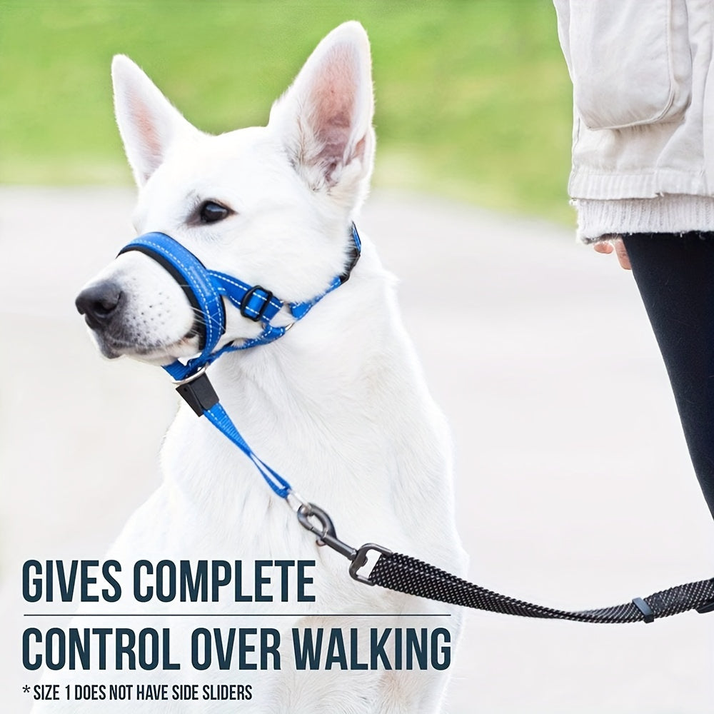 Haven Dog Head Halter No-Pull Training Collar with Leash