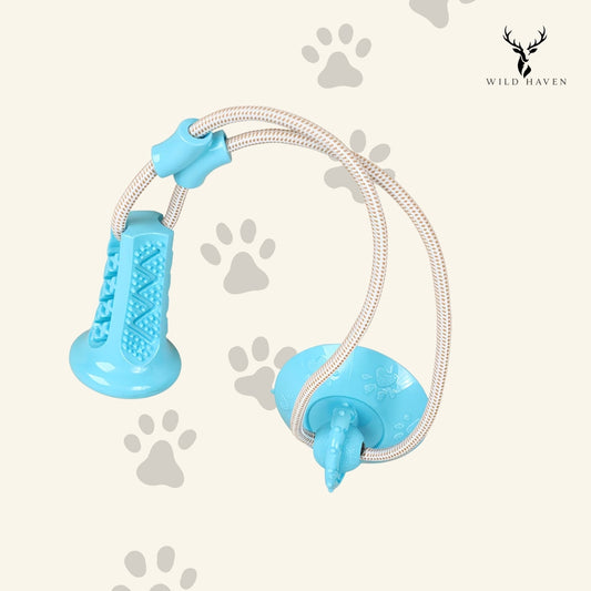 Haven Dog Suction Cup Treat Toy, Self-Play Chew Ball for Boredom Relief and Solo Entertainment