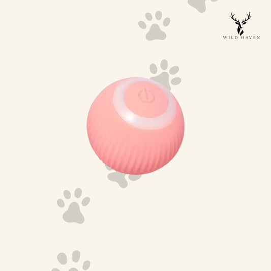 Haven Cat Auto Rolling Ball Toy, USB Rechargeable Automatic Self-Moving Interactive Ball for Cats