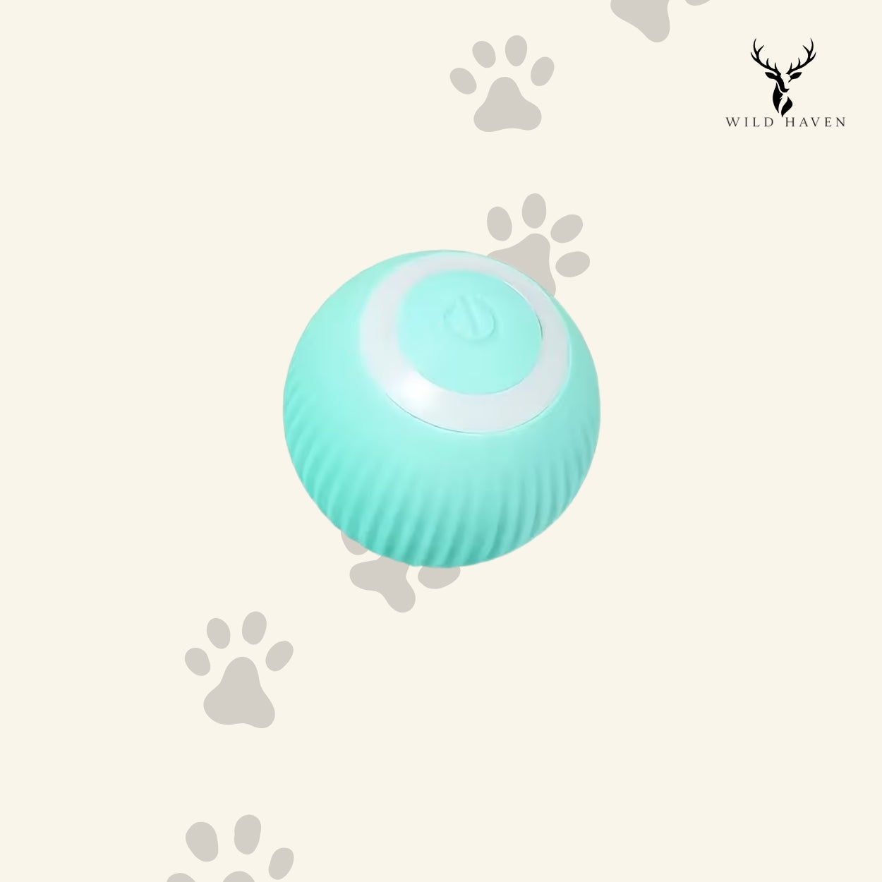 Haven Cat Auto Rolling Ball Toy, USB Rechargeable Automatic Self-Moving Interactive Ball for Cats