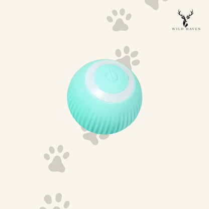 Haven Cat Auto Rolling Ball Toy, USB Rechargeable Automatic Self-Moving Interactive Ball for Cats