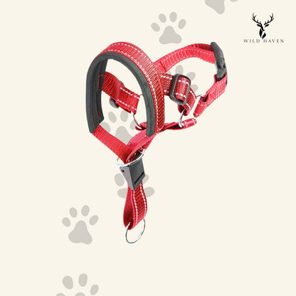 Haven Dog Head Halter, No-Pull Training Lead for Gentle Walking Control