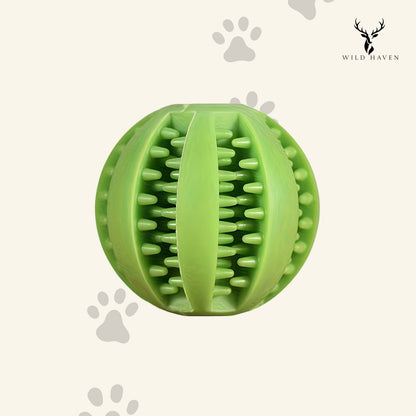 Haven Dog Treat Ball, Hollow Rubber Interactive Food Dispenser Toy for Active Dogs