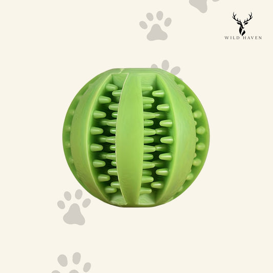 Haven Dog Treat Ball, Hollow Rubber Interactive Food Dispenser Toy for Active Dogs