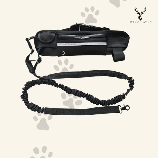 Haven Dog Hands-Free Running Leash, Bungee Waist Belt Lead for Jogging and Outdoor Exercise