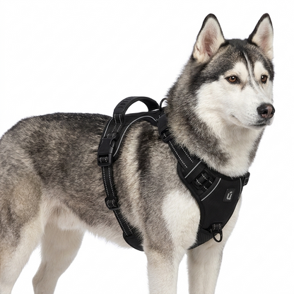 Haven Dog Anti-Pull Harness with Handle, Padded Reflective Vest with Top Control Grip